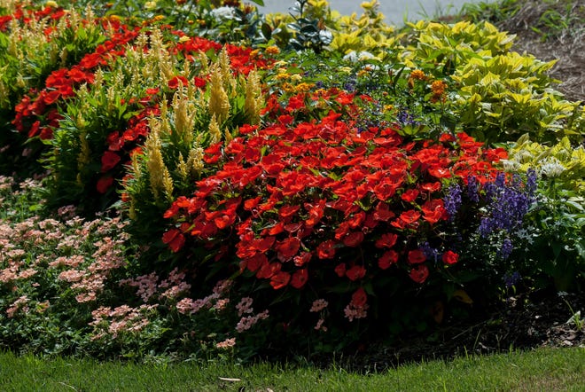 Compact Electric Orange SunPatiens create quite a showy display with Fresh Look Yellow celosia, Cathedral Deep Blue salvia and Lanai Peach verbena. [Norman Winter/TNS]