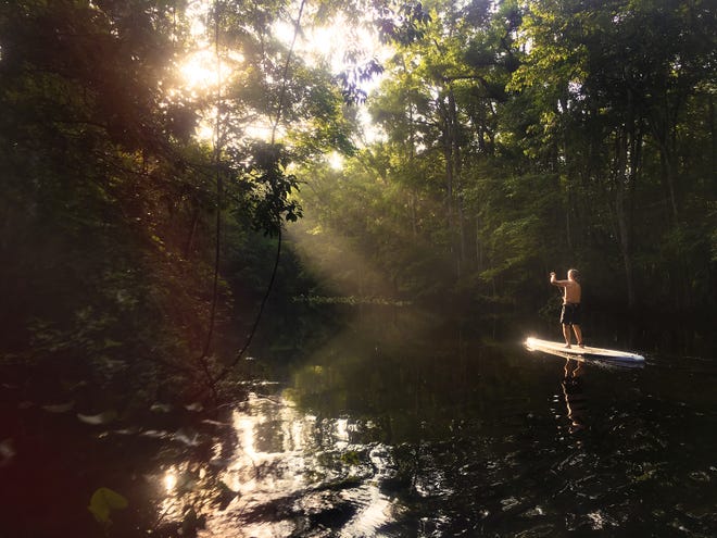 From one of Times-Union columnist Mark Woods' recent paddles in Durbin Creek -- a shot of Dan Gamsky rounding a corner on the creek and catching the morning light. [MARK WOODS/FLORIDA TIMES-UNION]