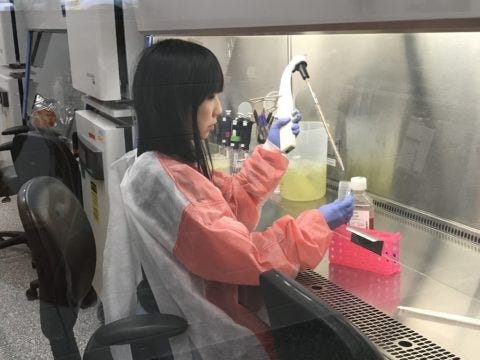 Naoko Uno inside her laboratory at the University of Georgia’s Center for Vaccines and Immunology. [Contributed]