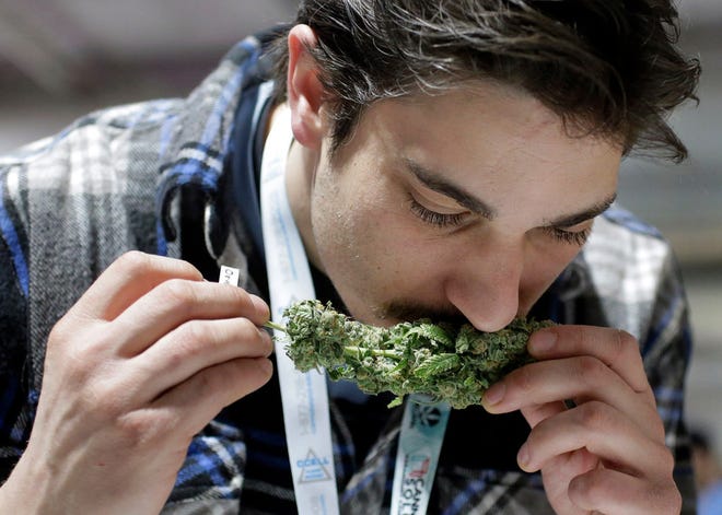 Connor Valliere, of Bedford, Mass., smells a sample of cannabis at the New England Cannabis Convention, in Boston. [AP photo / Steven Senne]