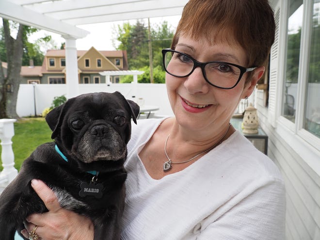 Dorene Dupuis of North Hampton, holds Mario, a black pug that she rescued from Puerto Rico following Hurricane Maria last September. The major storm left the dog wounded and blind at a gas station in Arroyo. [Rich Beauchesne/Seacoastonline]