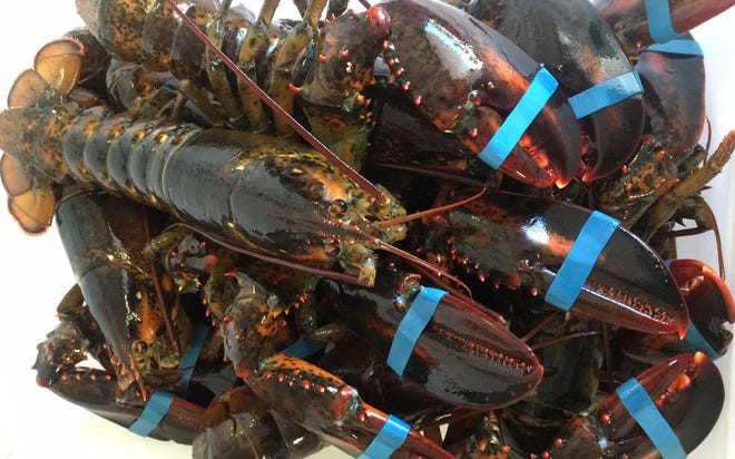 A former employee of lobster wholesaler Maine Coast of York, Maine, was sentenced in U.S. District Court in Portland on a wire fraud charge that he shipped 50,000 pounds of lobster to a nonexistent customer in China. [Courtesy photo]