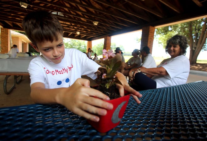 Isaac Hill, 10, plants a begonia at Camp Mostly Smiles held at Shelby City Park on Friday. [Brittany Randolph/The Star]