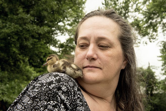 Cindy Bridge with Jakeybanks, the newest addition to her menagerie of feathered friends at her home in Middletown on Friday. [KIM WEIMER / STAFF PHOTOJOURNALIST]