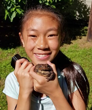A very happy Germantown Academy elementary student from Craig Newberger's science club holds onto a humongous American toad that was discovered at the Pocono Environmental Educational Center in Pike County. This toad was one of many reptiles and amphibians observed throughout the day during our “Herp Search,” which was led by Pocono Outdoors columnist Rick Koval. [RICK KOVAL PHOTO]