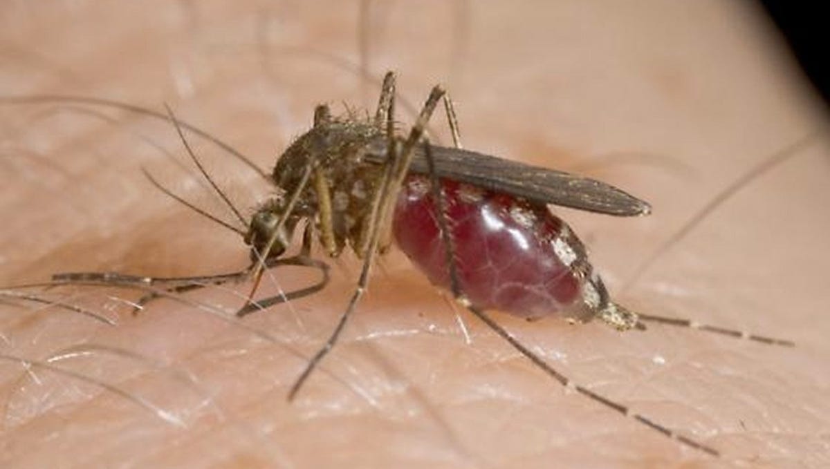 Ohio leading nation in La Crosse virus cases spread by mosquitoes Ohio leading nation in La Crosse virus cases spread by mosquitoes