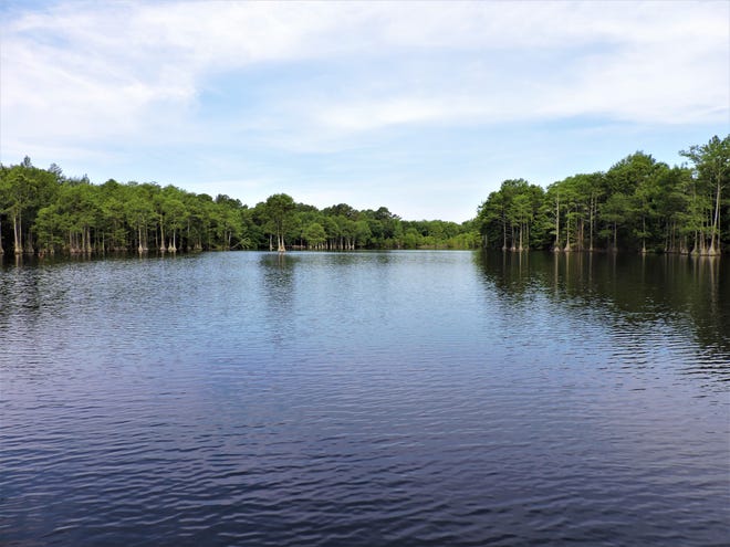 This is a section of Hope Mills Lake not visible from the park. [Lisa Carter Waring/The Sandspur]
