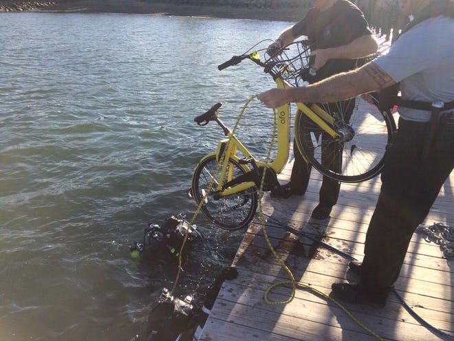 Divers from the Quincy Police Marine Unit rescue two ofo bikes from the water near Houghs Neck Maritime Center on Tuesday, June 27, 2018. (Quincy Police Department photo)
