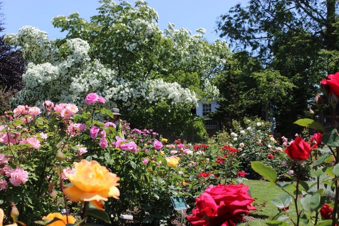 Fullers Gardens hosts several special events throughout the summer in addition to its regular tours. Visit www.fullergardens.org for more information. [Courtesy photo]