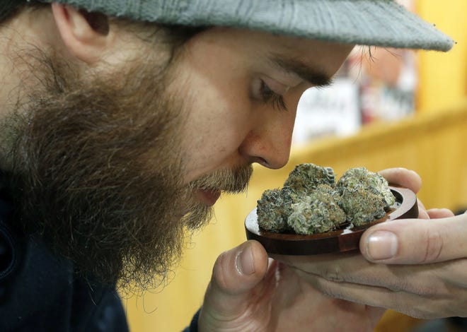 Julian Clark, of Westerly, R.I., smells a strain of marijuana flowers called "Cookie Pebbles," at a December 2017 trade show in Worcester, Mass. Three New England states legalized recreational marijuana, but there is still no place to buy pot legally in the region. [AP Photo/Steven Senne, file]