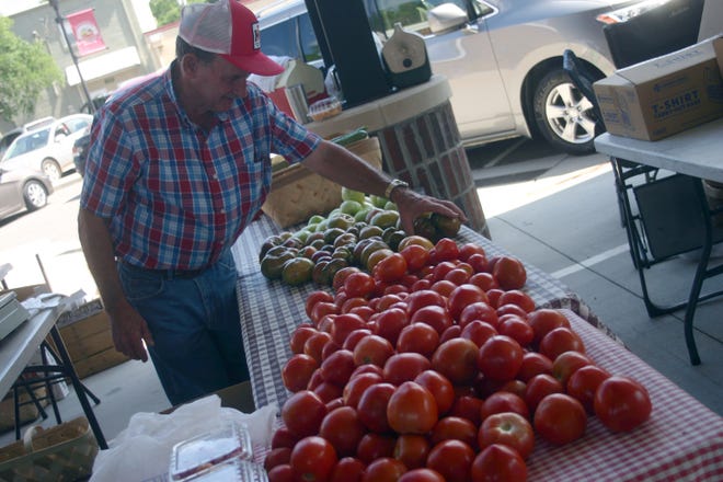 Loyd Lewis with his tomatoes. [Keara Harris/The Star]
