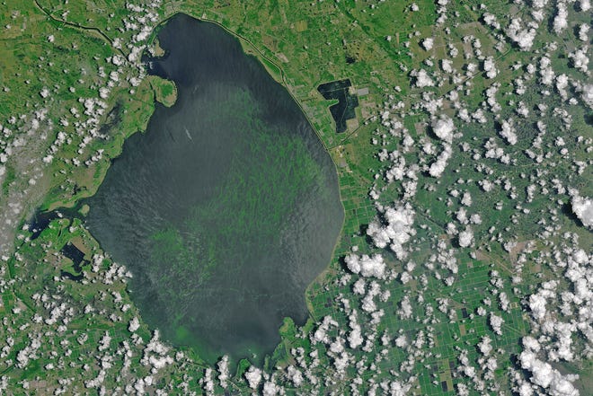 A satellite image of an algae bloom in Lake Okeechobee in 2016. A massive algae bloom is again occurring and was recently estimated to cover about 90 percent of the lake. [NASA photo]