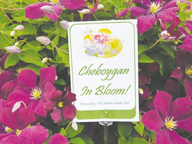 Seedums Garden Club members will soon begin touring the City of Cheboygan beginning July 15, looking for "blooming" front yard gardens.