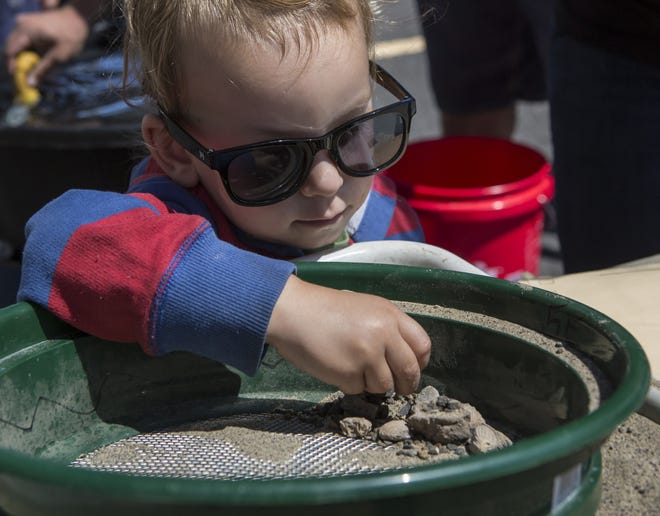 Eli Daniels picks through a collection of fossils and rocks after participating in a screen for fossils activity at the Oregon Geo Fest on Sunday. [Ben Lonergan/The Register Guard] - registerguard.com
