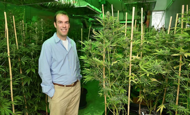 Greenleaf Compassion Center owner Seth Bock stands in the 800-square-foot grow room at the Portsmouth facility in 2015. [DAILY NEWS FILE PHOTO]