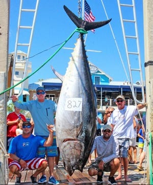 Rick Whitley is seen with his record bluefin tuna along with Capt. Joey Birbeck and mates Dennis Bennett and Josh Goodson, of the vessel You Never Know. [CONTRIBUTED PHOTO}