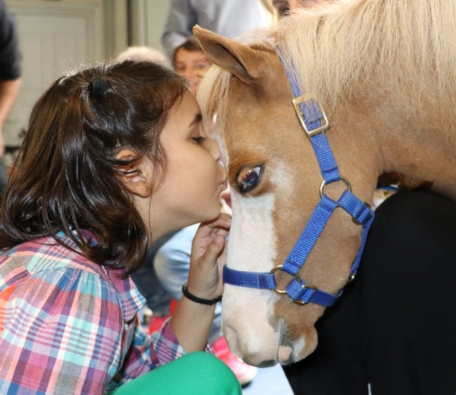 A girl kisses one of nine therapy horses rescued in Greece from a facility that is part of Gentle Carousel Miniature Therapy Horses of Gainesville after wildfires swept through a coastal region about 18 miles from Athens, Greece, killing more than 80 people. Everyone at Gentle Carousel Miniature Therapy Horse Greece, and all of the therapy horses, survived. [Submitted photo by Gentle Carousel Miniature Therapy Horses]