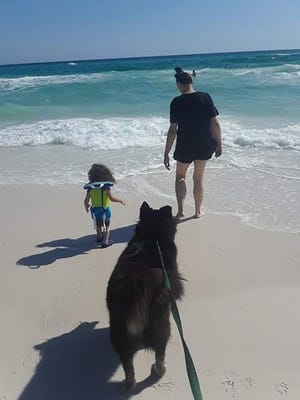 Robert "Lane" Symons took a photo of his fiancee Savannah, her 2-year-old son Larry and their dog Ceaser during a trip to the beach. Savannah and Larry were killed in a car accident in early June. [CONTRIBUTED PHOTO]