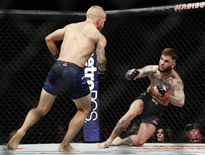 TJ Dillashaw, left, knocks down Cody Garbrandt during a bantamweight title mixed martial arts bout at UFC 217 Sunday, Nov. 5, 2017, in New York. Dillashaw won the fight. (AP Photo/Frank Franklin II)