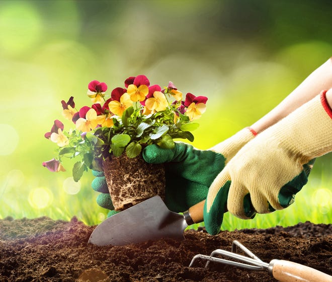 From rain barrel workshops to instructions on irrigation, there are a host of events aimed at helping you get a greener landscape. [THINKSTOCK PHOTO]