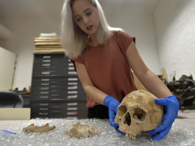 On Friday, Erie Art Museum registrar Torie Pesta, 24, displays a skull found in a collection at the museum in Erie. At far left is part of the jaw and next to that is a terracotta mask. [GREG WOHLFORD/ERIE TIMES-NEWS]