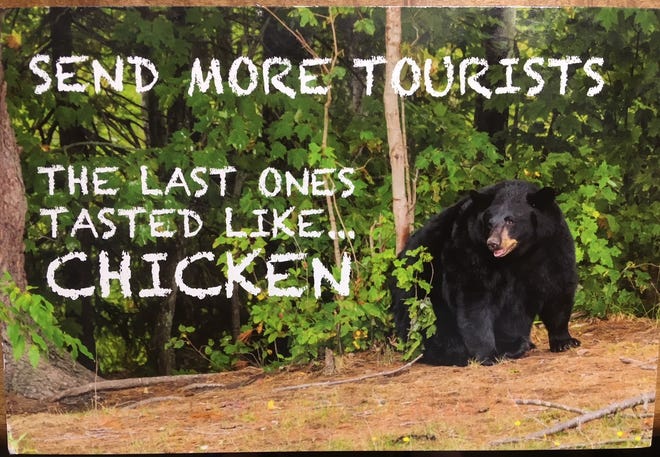 The Michigan bears are hungry, according to this postcard from Diane Robillard. [SPECIAL]