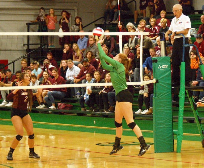 Wethersfield’s Tess Anderson guides the ball across the net during the regional championship against Annawan last fall. The Lady Geese have won six regional championships in a row.