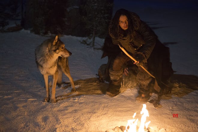 Alpha and Keda (Kodi Smit-McPhee) try to make it through another cold night. [Columbia Pictures]