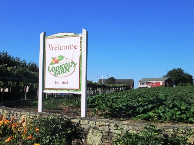 Belkin Family Lookout Farm in South Natick will be the site of the MetroWest Chamber of Commerce's first-ever Lookout Farm Harvest Fest on Sept. 9.

[File Photo]