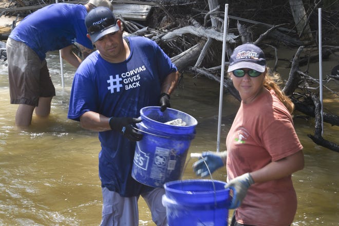 Rachel Gwin and Omar Santana pass buckets of limestock rock Thursday as they help build a reef near Eglin Air Force Base's Post'l Point. [PHOTOS BY DEVON RAVINE/DAILY NEWS]