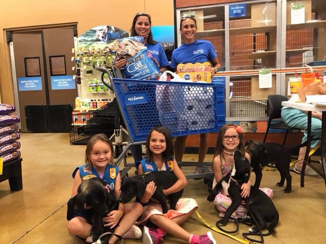 Recently the Girl Scouts of Troop 4130 used their Girl Scout Cookie proceeds to donate food and supplies for the animals at the Colonial Capital Humane Society. The girls had five places in mind to donate to, but the Humane Society won by a unanimous vote. All of the girls love animals, and a few had even adopted a pet from the organization. The girls created a budget and went shopping for supplies before bringing them over to the Humane Society. Together, the girls learned that giving to others in need, such as homeless pets, not only helps others, but makes them feel good about themselves as well. Girl Scout Troop 4130's experience shows how every action can help towards making someone else's life better. [CONTRIBUTED PHOTO]