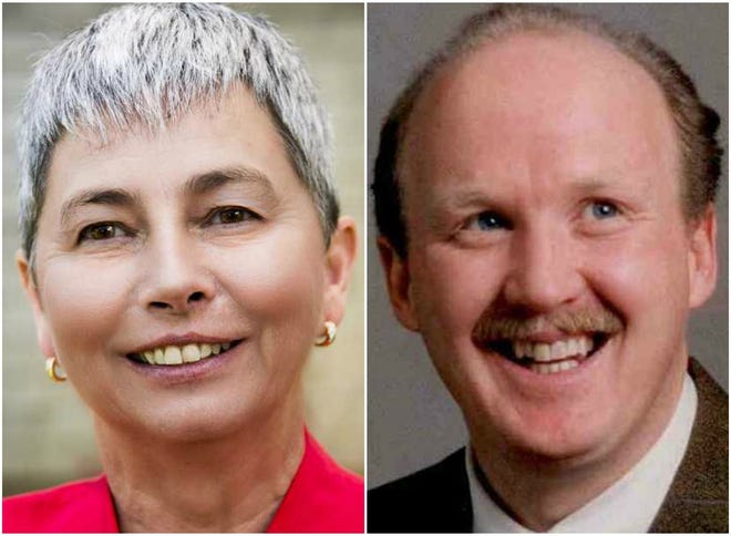 Democrats Deborah Rudolf and Stephen Michael Palmer, both of Plymouth, will compete in the Sept. 4 primary in the Senate's Plymouth and Barnstable District to determine who will face incumbent Sen. Viriato ìVinnyî deMacedo of Plymouth in November.