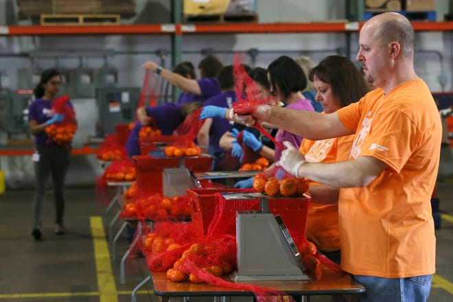Volunteers Jason Glover, right, and Tammy Olszewski of Woodforest National Bank weigh clementines Friday in 2-pound bags during Akron-Canton Regional Foodbank's Operation Orange.