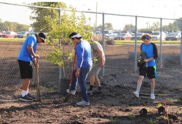 Perry High School athletes work on landscaping at Dewey Field on Sept. 12. PHOTO BY LIBBIE RANDALL/THE PERRY CHIEF