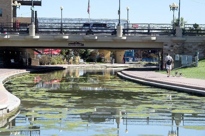 The drought and lack of water in the Arkansas River is resulting in algae forming on the surface of the water flowing through the Historic Arkansas Riverwalk of Pueblo. [CHIEFTAIN PHOTO/STEPHEN SWOFFORD]
