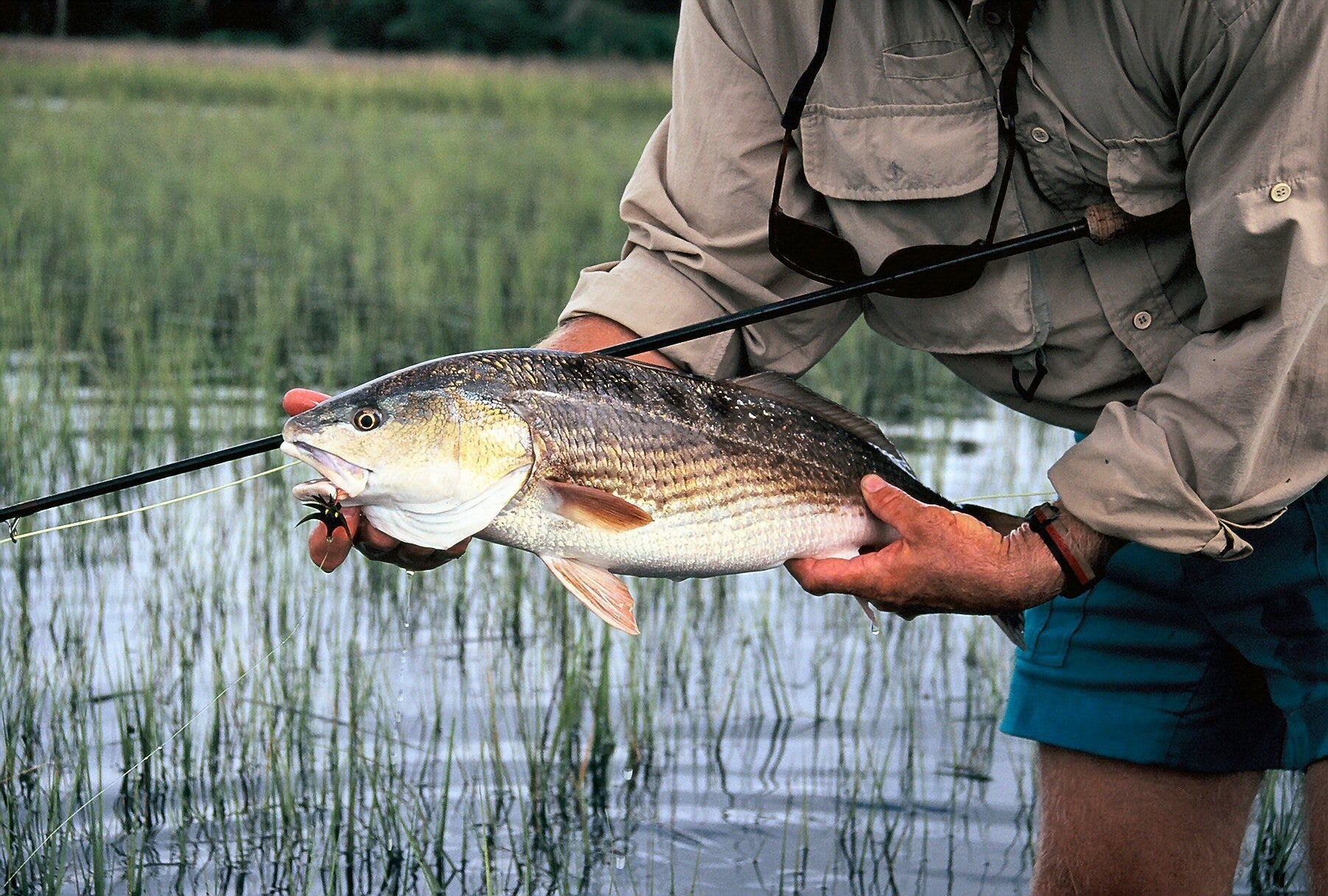 FISHING NEW DEADLY FLY Red Bobs Bits 