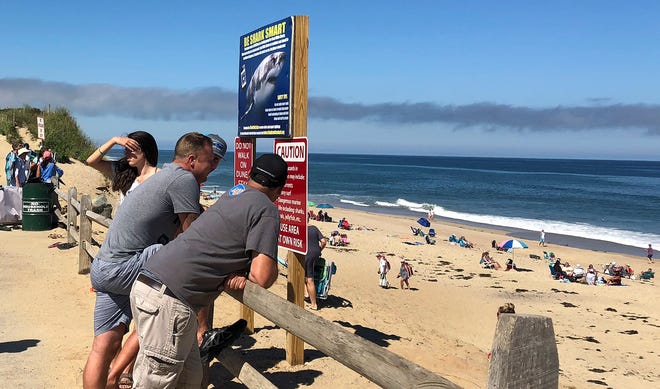 Associated Press

People look out at the shore after a shark attack at Newcomb Hollow Beach in Wellfleet on Saturday. A man boogie boarding off the Cape Cod beach was attacked by a shark and died later at a hospital.