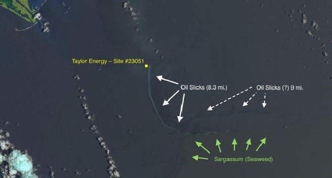 This June 2014 satellite photo from NASA, annotated by SkyTruth, shows an oil slick extending in an arc at least 8.3 miles long off the Louisiana coast from a well site at a Taylor Energy Company platform, which was toppled in an underwater mudslide triggered by Hurricane Ivan's waves in September 2004. The white cotton-like formations are clouds, and the mouth of the Mississippi River is visible in the green land mass at the upper left. [NASA/SkyTruth via AP]