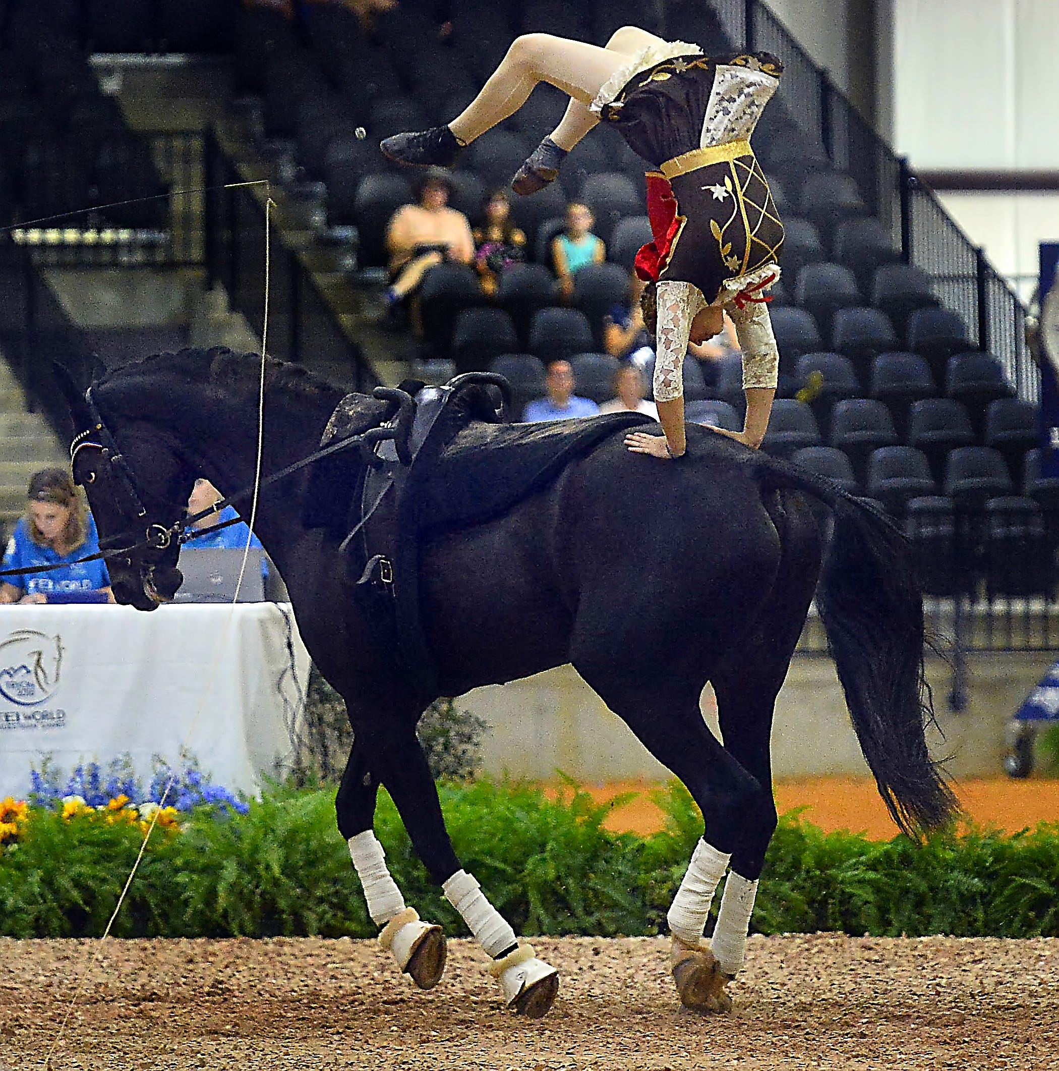 Vaulting, or 'gymnastics on horses,' takes center stage at World