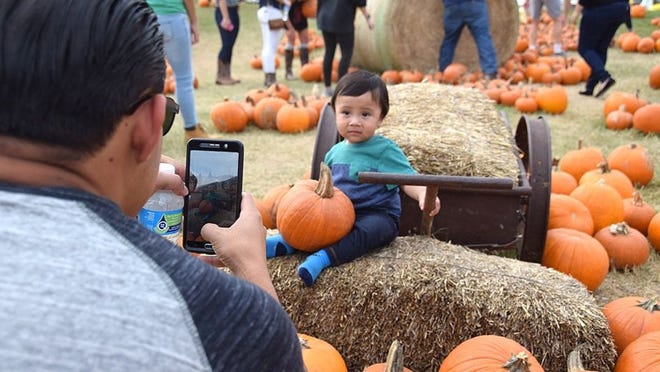 Max Saravia of Manor taks a photo of 1-year-old Nathan Gomez in the pumpkin patch at Barton Hill Farms in 2016. Fran Hunter/Bastrop Advertiser