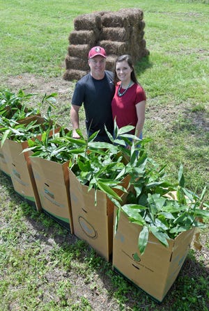 Mark and Kristin Olivenbaum with some of the asper bamboo plants to be planted. [ SCOTT WHEELER/THE LEDGER ]