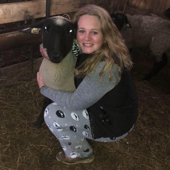 SUBMITTED PHOTO

Maddy Schupp holds her market lamb Princess on Christmas Day in 2017. Princess, a Suffolk/Hampshire cross, has had a career change; she will be bred next year at a farm in Carrollton. Schupp is an agricultural communications student, Tappan Lake activities director and teacher's aide in Wooster.