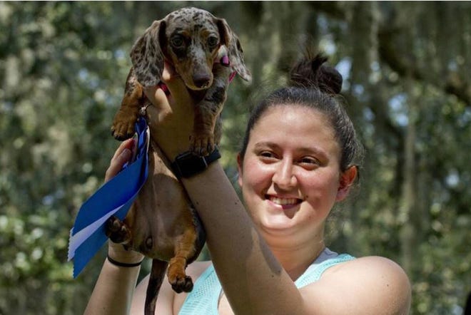 Responsible Dog Ownership Day: 11 a.m.-3 p.m. Sept. 23; Daffin Park; free; 912-655-5032. Doggy derby, agility course, other games, microchipping. Savannah Kennel Club event. Shown: Katie Drought lifts her miniature dachshund Daisy after the pup won the Cutest Dog Award at the event in 2017. [SMN file photo/savannahnow.com]