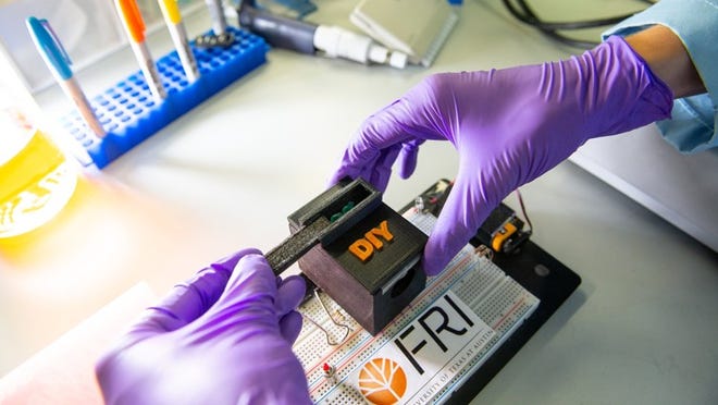 Using a cellphone camera, a small 3D-printed box and a simple chemical test, University of Texas researchers developed an easy-to-use diagnostic tool that can identify whether a mosquito belongs to a species known to carry dangerous diseases, such as Zika virus, dengue, chikungunya or yellow fever.