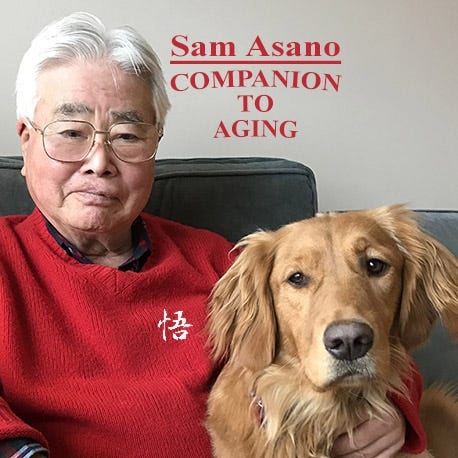 Shintaro “Sam” Asano is beginning a new weekly series of columns today titled "Companion to Aging." Write to him at sasano@umelink.com.