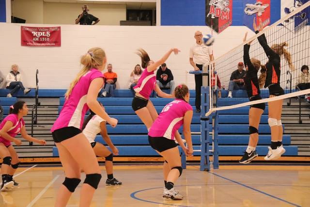 The Jayettes and fans sported pink apparel for their annual Dig for a Cure Night to support Dallas County Relay for Life. PHOTO BY LIBBIE RANDALL/THE PERRY CHIEF