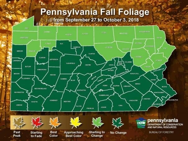 The Pennsylvania Department of Conservation and Natural Resources released the first of its weekly fall foliage reports on Sept. 27. [CONTRIBUTED PHOTO]