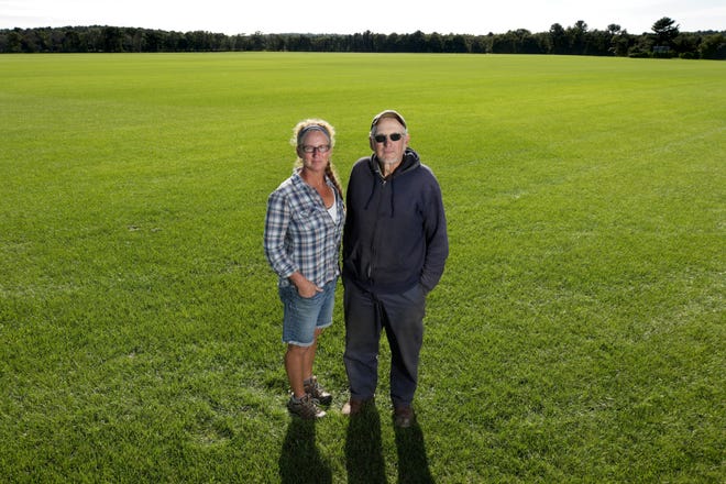 Sarah Partyka and her father, John, stand on one of the turf fields at their South County Farms in Richmond. They are interested in hemp's agricultural use in replenishing soil nutrients depleted by turf and other crops. [The Providence Journal / Kris Craig]