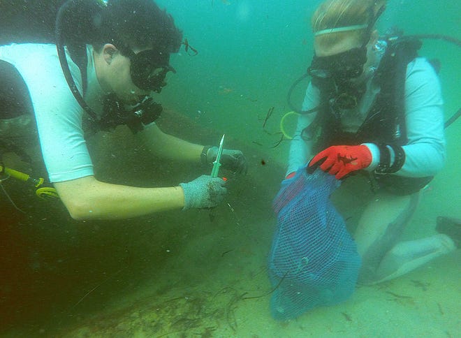 Luke Powell and Dr.Andrea Kroetz cut through fishing line and pick up trash near the jetties on Sept. 8 at St. Andrews State Park during the Panama City Dive Club's End of Summer Jetties Clean Up. [PATTI BLAKE/THE NEWS HERALD]