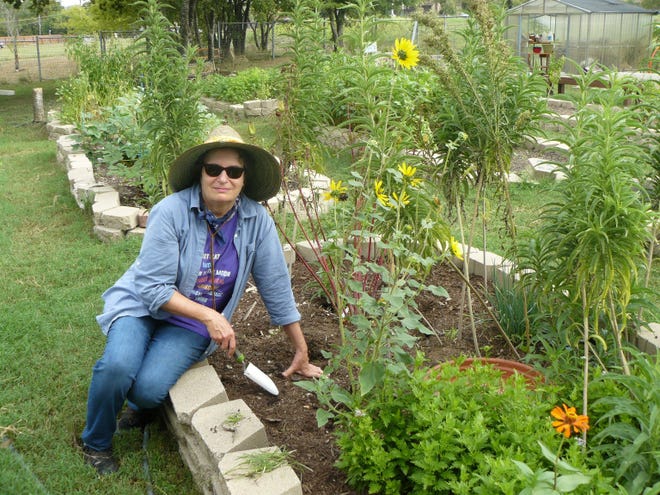 Julie Wasserman heads the community garden, the Gardens at Gus Garcia. [Carolyn Lindell/For American-Statesman]